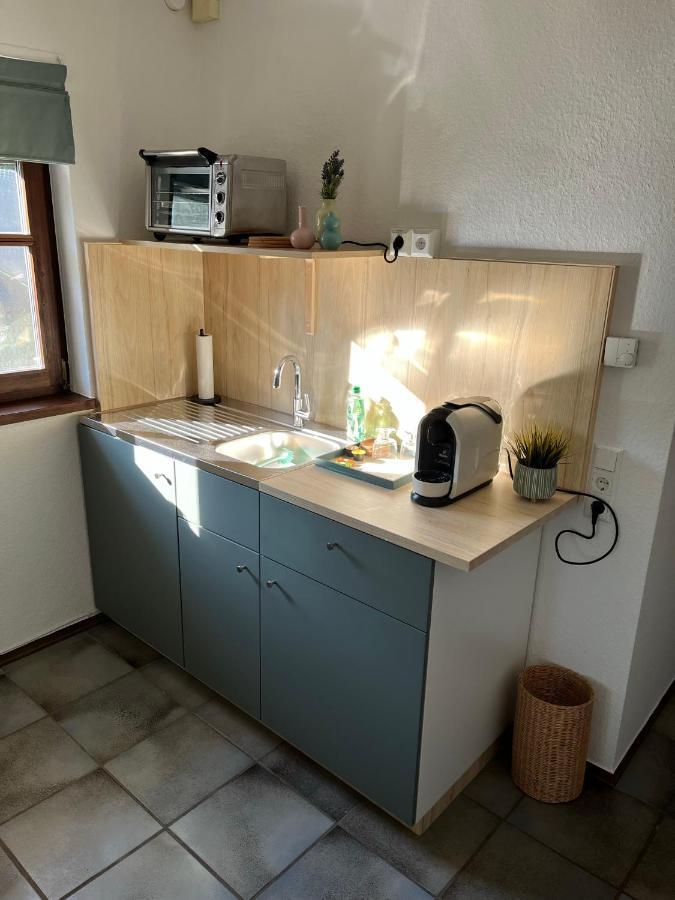 1 Zimmer Whg Waldfischbach Waldfischbach-Burgalben Exterior foto